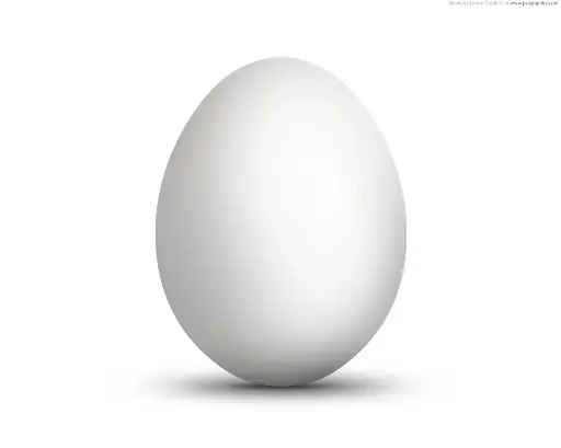 Hilaw Egg